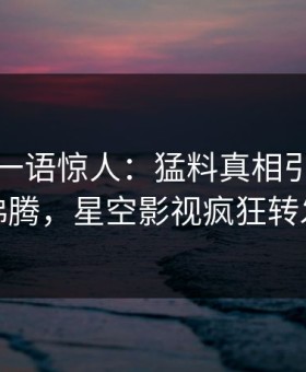 主持人一语惊人：猛料真相引发热血沸腾，星空影视疯狂转发