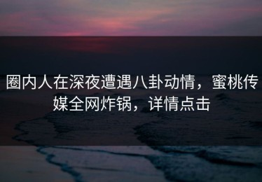 圈内人在深夜遭遇八卦动情，蜜桃传媒全网炸锅，详情点击