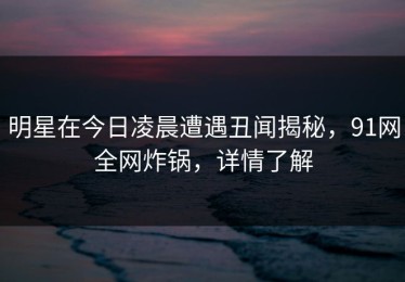 明星在今日凌晨遭遇丑闻揭秘，91网全网炸锅，详情了解
