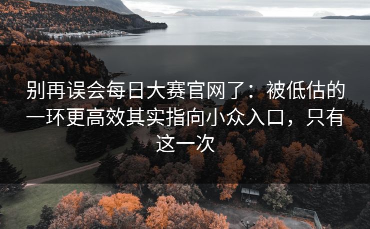 别再误会每日大赛官网了：被低估的一环更高效其实指向小众入口，只有这一次