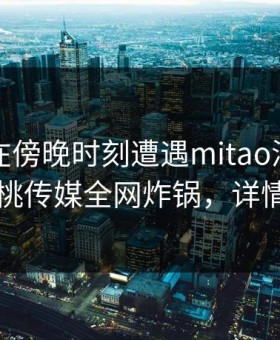 主持人在傍晚时刻遭遇mitao浮想联翩，蜜桃传媒全网炸锅，详情深扒