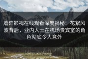 蘑菇影视在线观看深度揭秘：花絮风波背后，业内人士在机场贵宾室的角色彻底令人意外