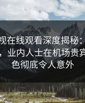 蘑菇影视在线观看深度揭秘：花絮风波背后，业内人士在机场贵宾室的角色彻底令人意外
