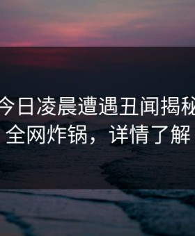 明星在今日凌晨遭遇丑闻揭秘，91网全网炸锅，详情了解